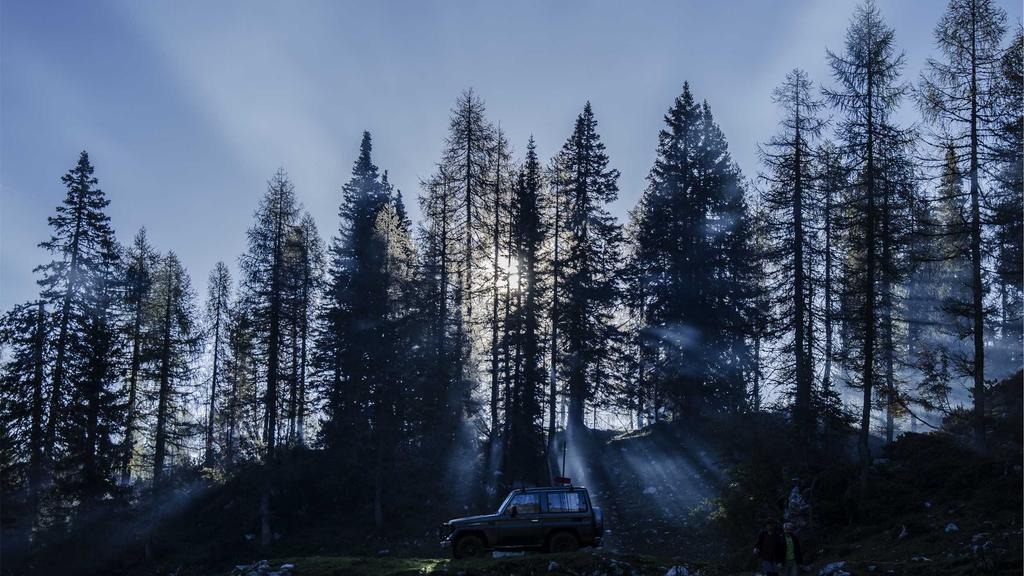 봄 나들이 장소 추천 | 전국 벚꽃 명소 & 숨은 보석 같은 여행지