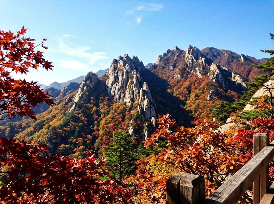 한국 가을, 붉게 물든 설악산의 웅장한 봉우리와 단풍