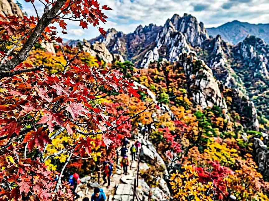 한국 설악산 정상 부근의 붉게 물든 단풍나무와 웅장한 산세