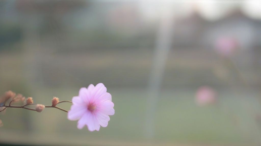 한국 가을 단풍 여행 가방에 담긴 준비물들 (카메라, 옷, 간식 등)